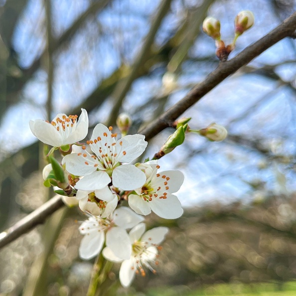 23-03-17 10-40-06 4879.jpeg